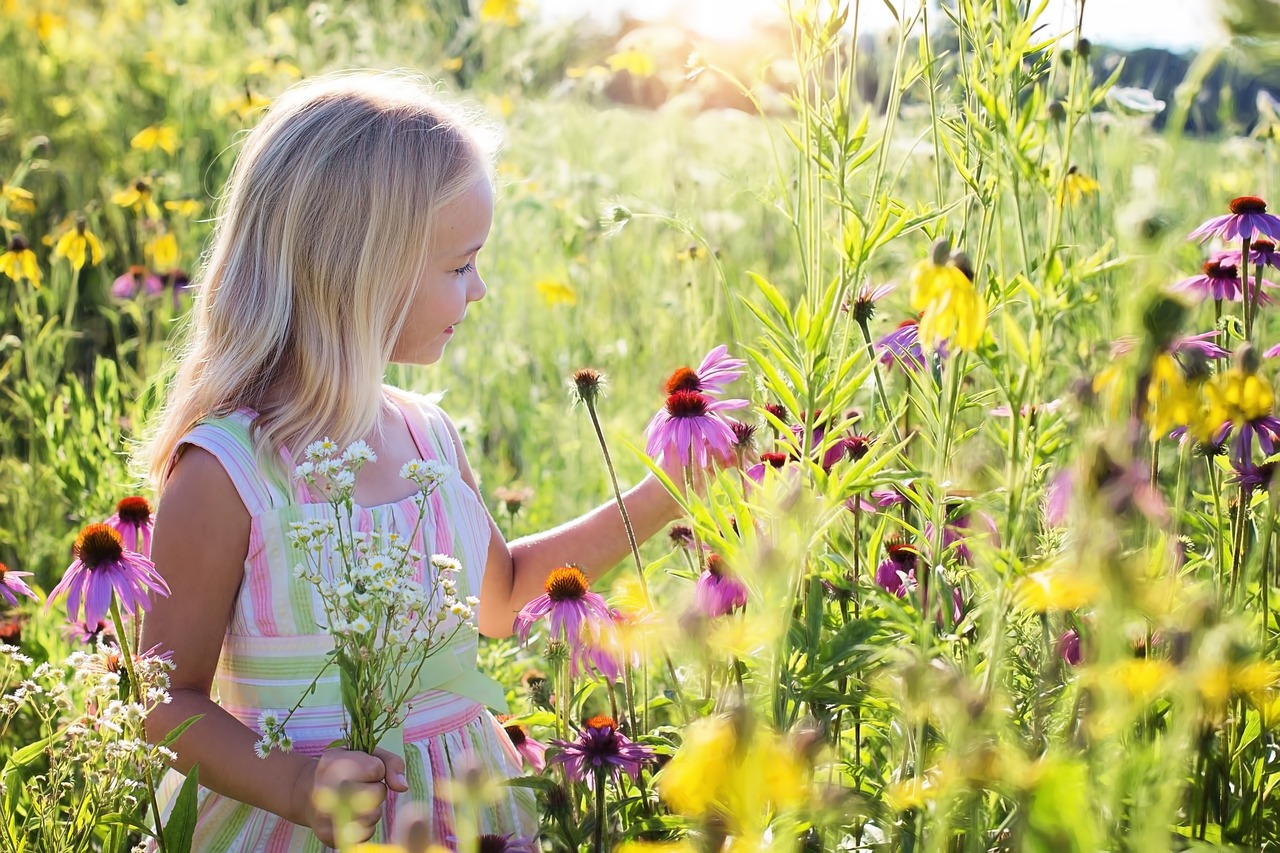 Discover the perfect flowers for low-light areas in your garden with our shade gardening guide. Bring beauty to every corner of your outdoor space.