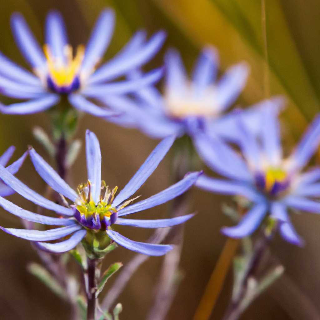 Native Wildflowers: Enhancing Biodiversity And Attracting Pollinators