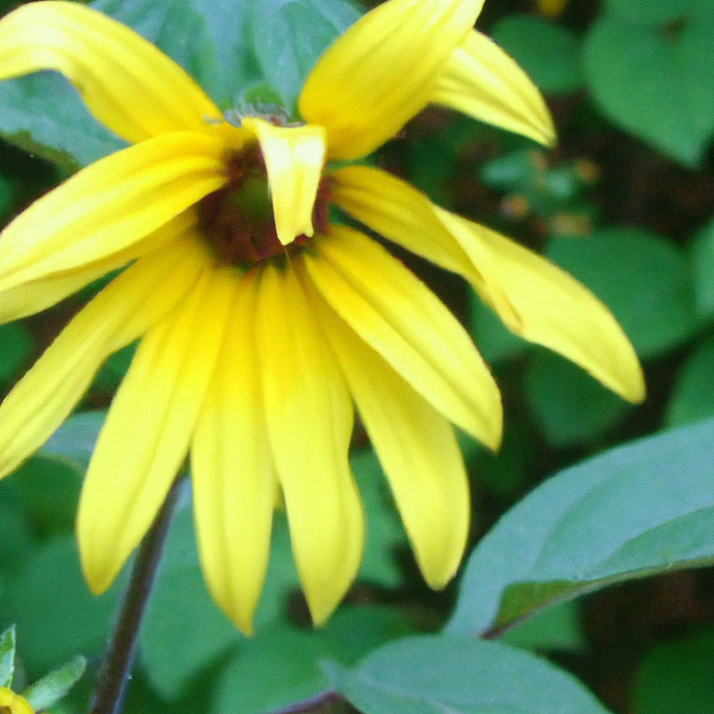 Troubleshooting Common Flower Garden Problems: Yellowing Leaves, Wilting, And More