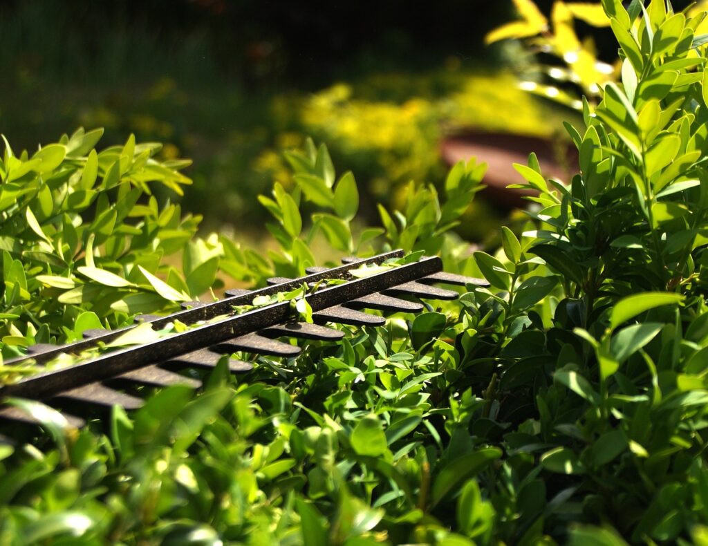 Maintaining Hedge Trimmers