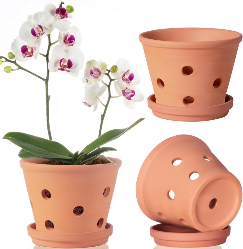 6 inch Terracotta Orchid Pots with Holes and Saucers, 3 Pack Clay Orchid Planter Pots for Repotting, Small Terra Cotta Orchid Pot, Plant Flower Pots for Orchid Indoor Outdoor Promotes Air Circulation