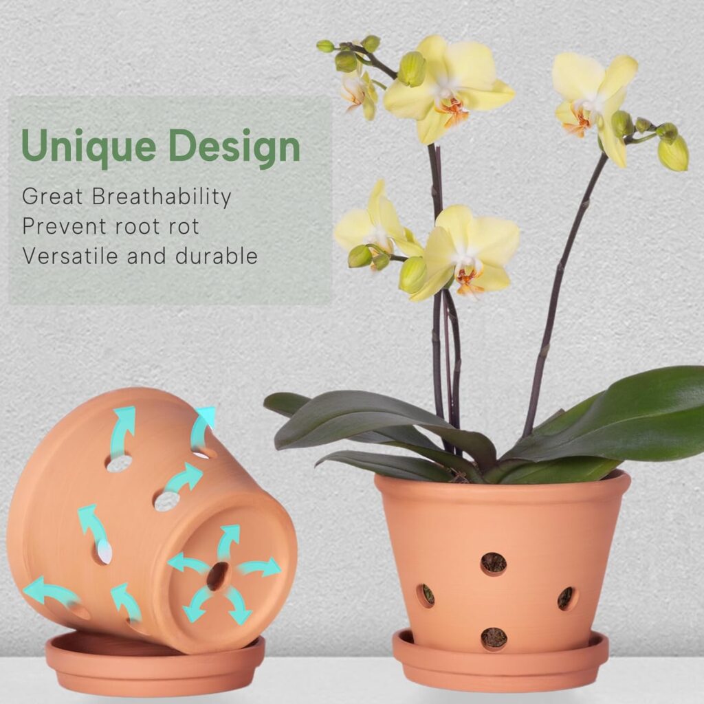 6 inch Terracotta Orchid Pots with Holes and Saucers, 3 Pack Clay Orchid Planter Pots for Repotting, Small Terra Cotta Orchid Pot, Plant Flower Pots for Orchid Indoor Outdoor Promotes Air Circulation